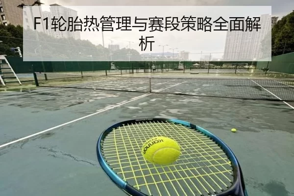 F1轮胎热管理与赛段策略全面解析