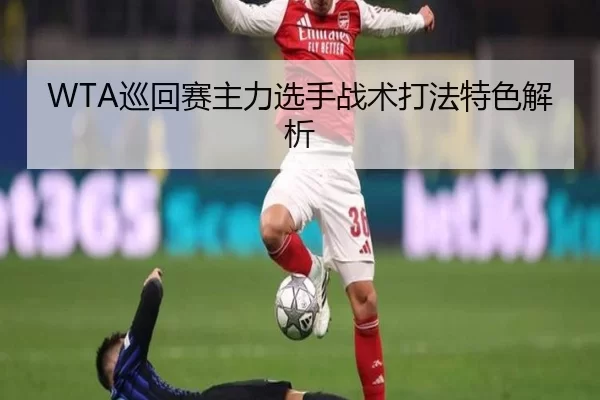 WTA巡回赛主力选手战术打法特色解析